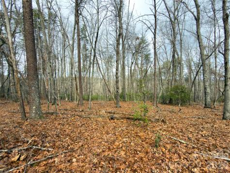 Lots 4-7 Carmel Ridge Rutherfordton NC 28139