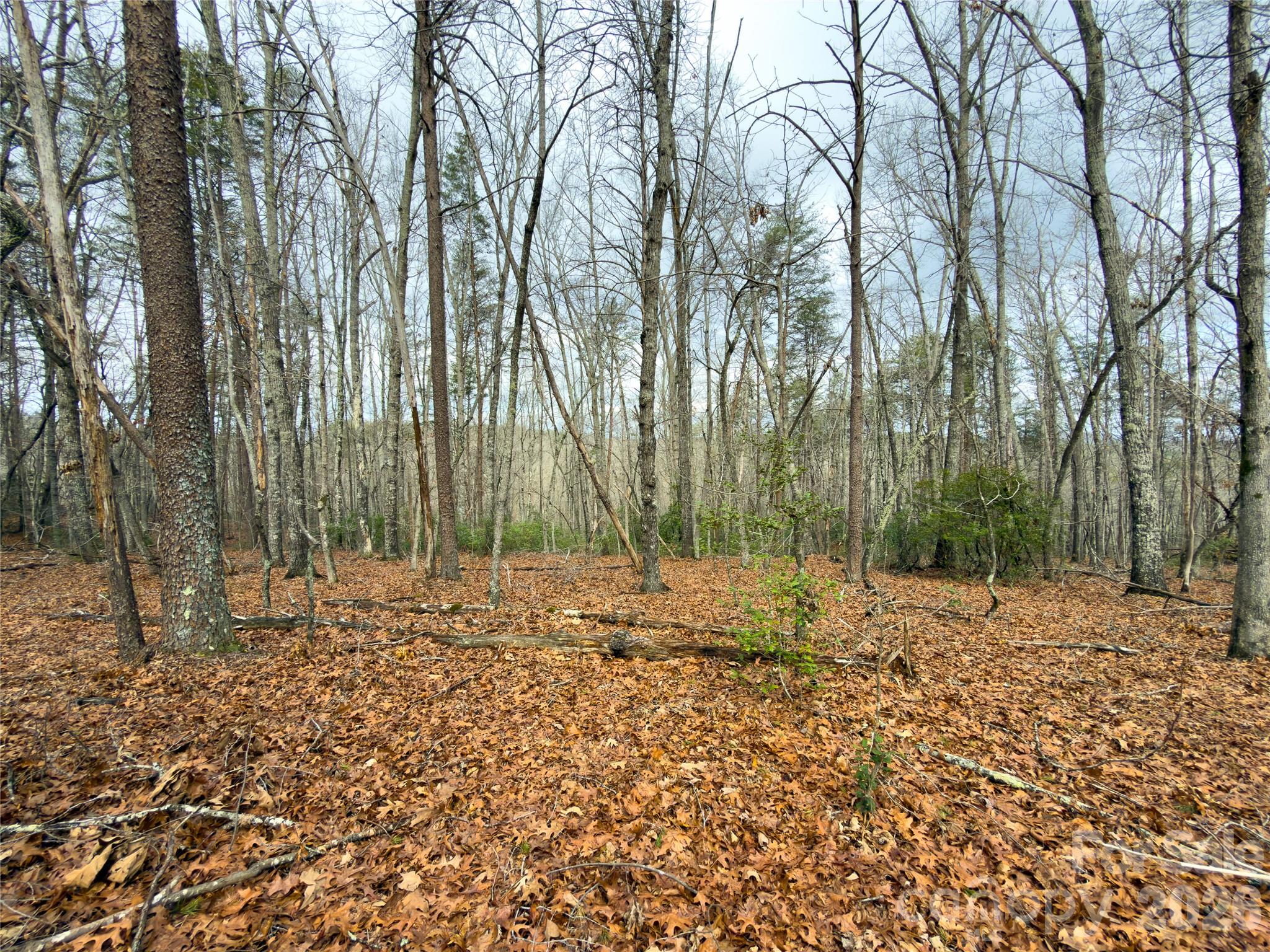 Lots 4-7 Carmel Ridge Rutherfordton NC 28139