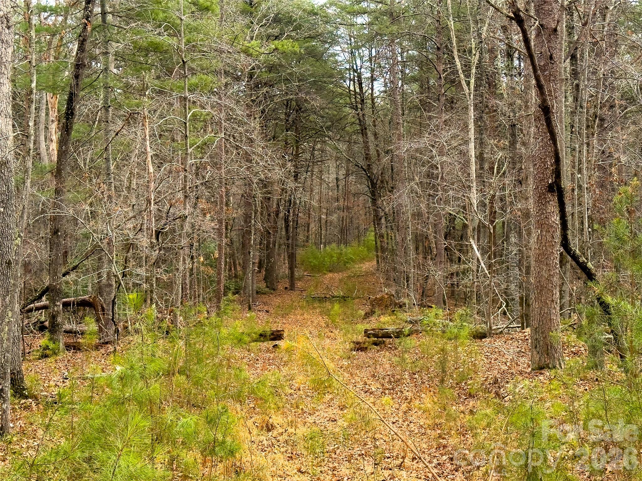 Lots 4-7 Carmel Ridge Rutherfordton NC 28139