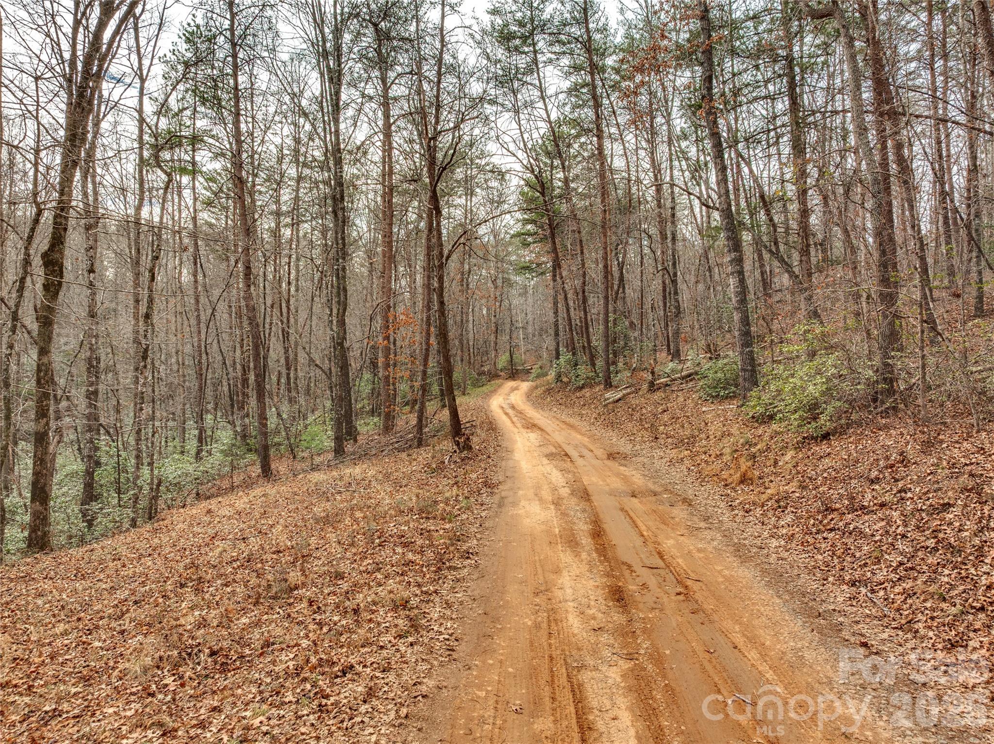 Lots 4-7 Carmel Ridge Rutherfordton NC 28139