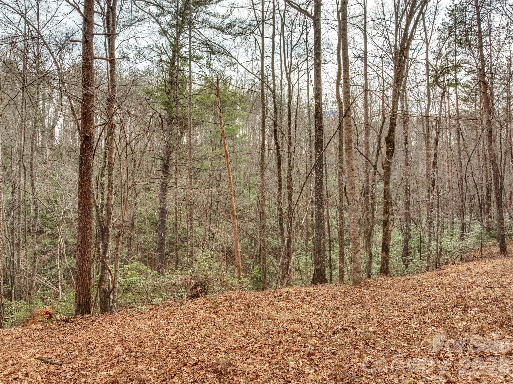 Lots 4-7 Carmel Ridge Rutherfordton NC 28139