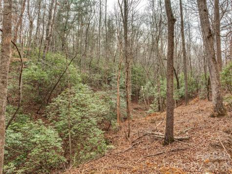 Lots 4-7 Carmel Ridge Rutherfordton NC 28139