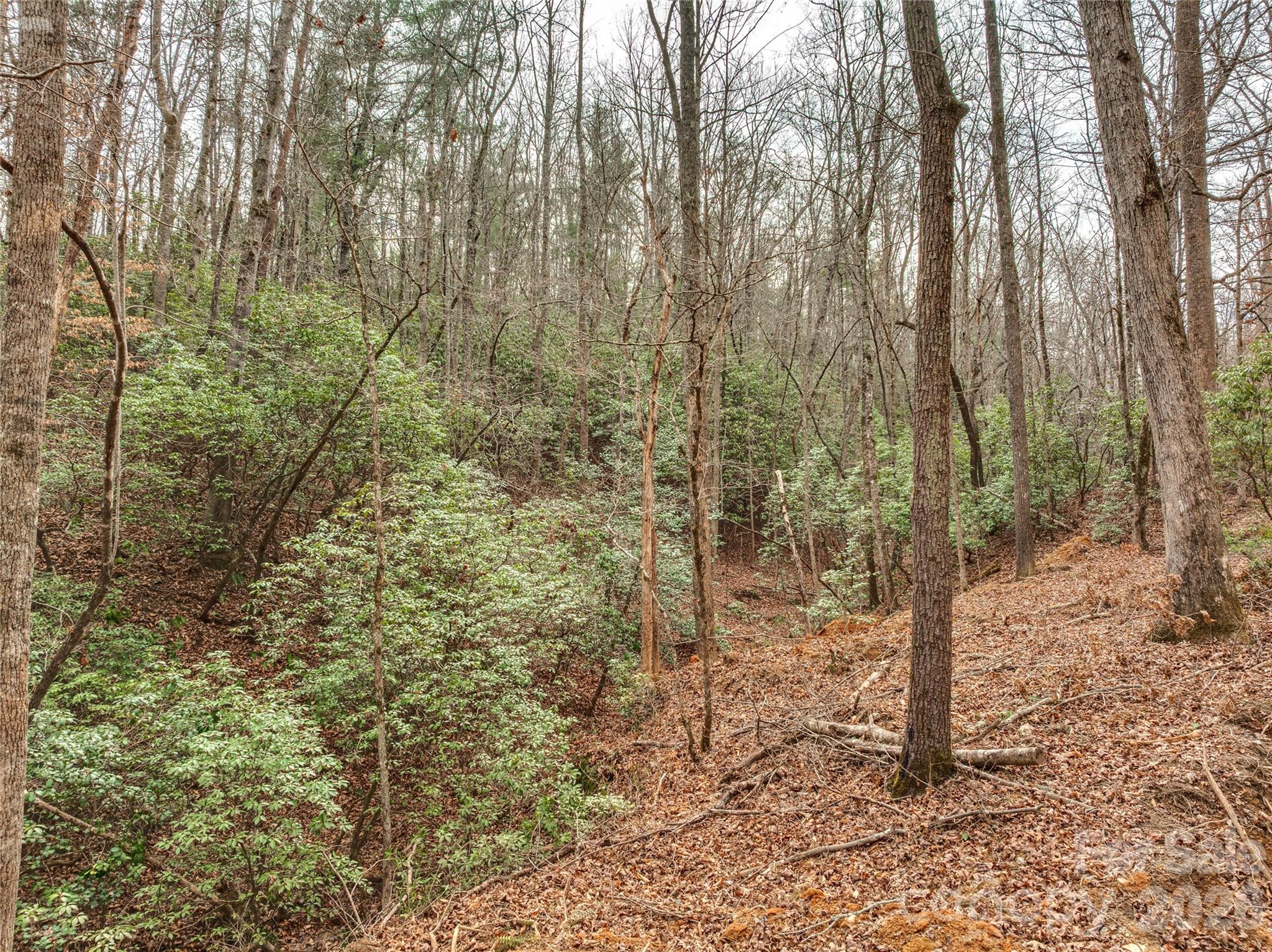 Lots 4-7 Carmel Ridge Rutherfordton NC 28139