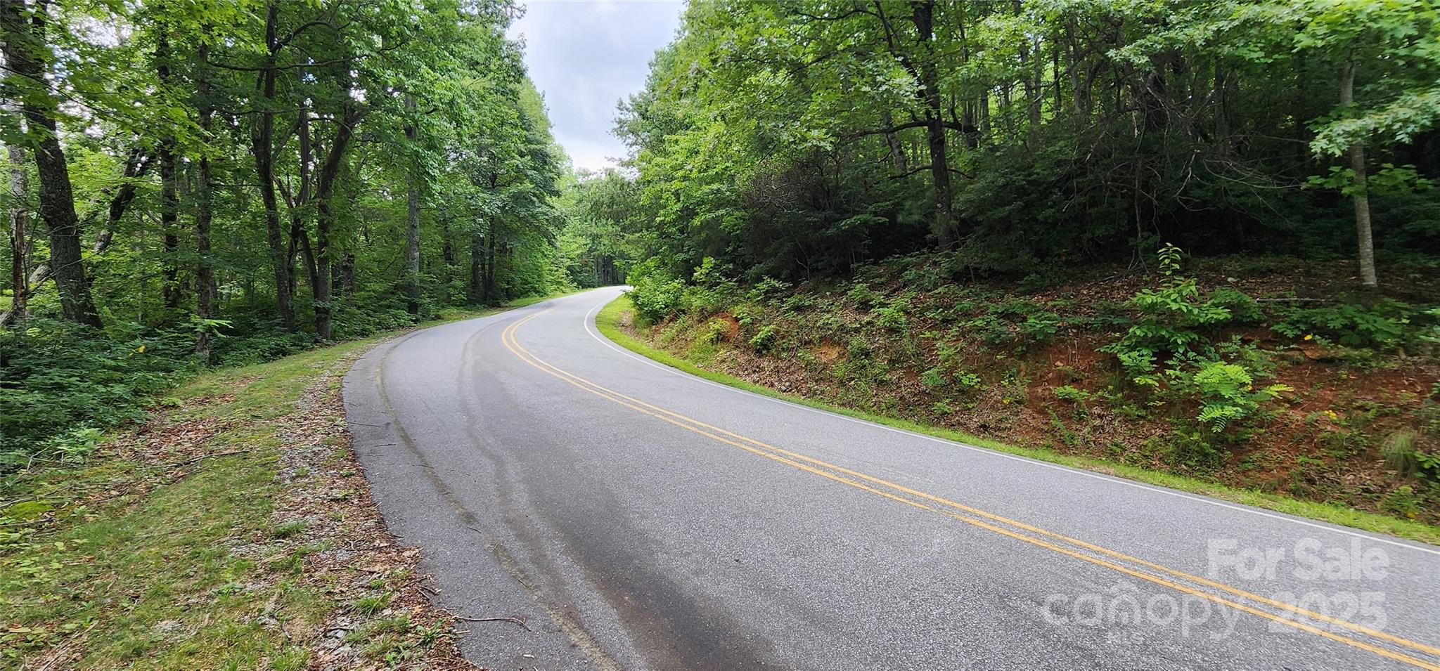 Lot 37 White Oak Mountain Road Columbus NC 28722