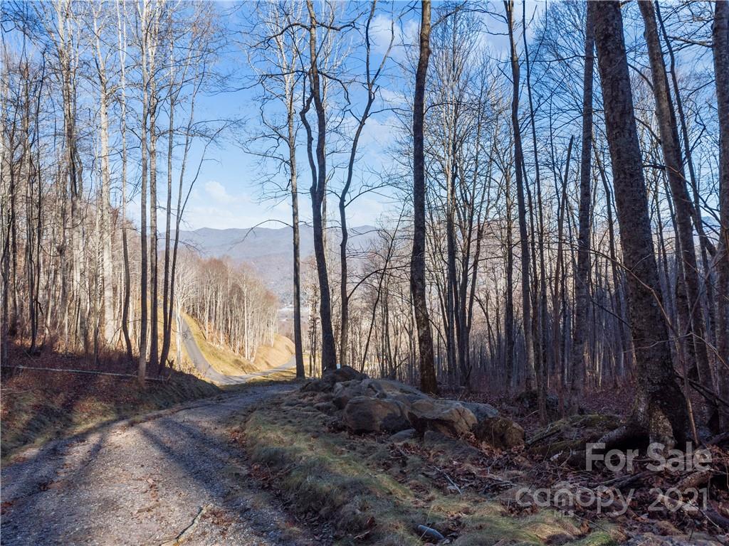 1397 Daydream Ridge Swannanoa NC 28778