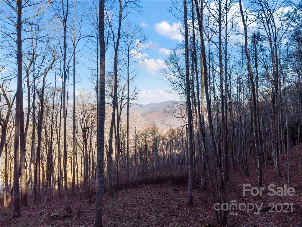 1397 Daydream Ridge Swannanoa NC 28778