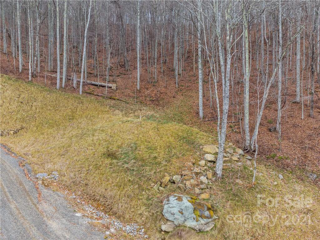 1397 Daydream Ridge Swannanoa NC 28778