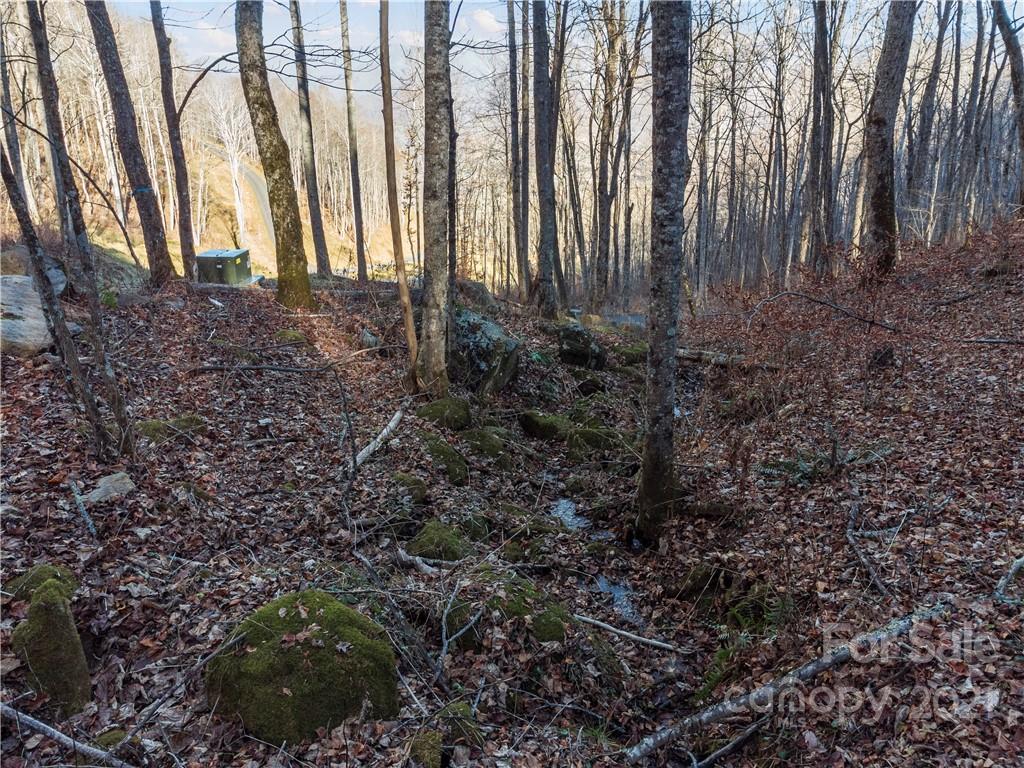 1397 Daydream Ridge Swannanoa NC 28778