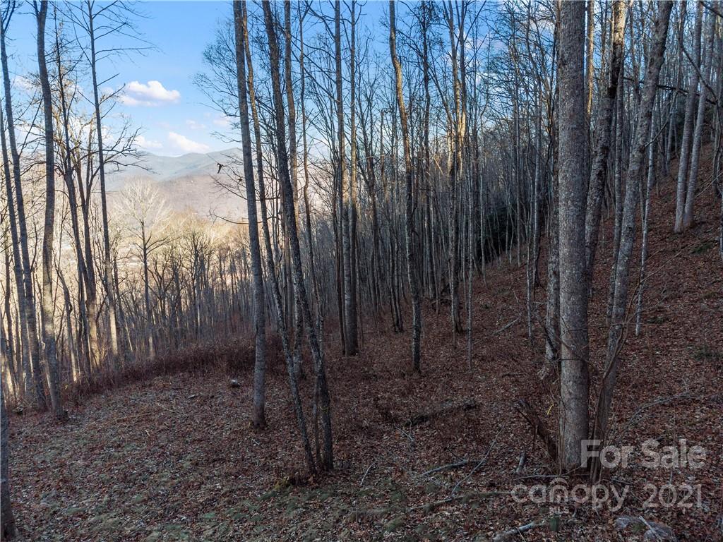 1397 Daydream Ridge Swannanoa NC 28778