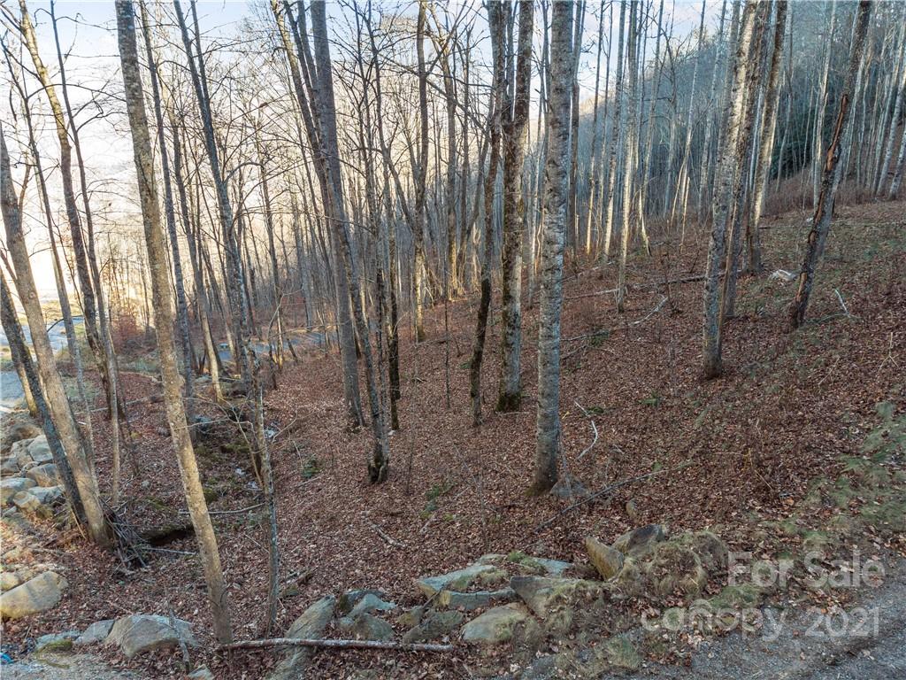 1397 Daydream Ridge Swannanoa NC 28778