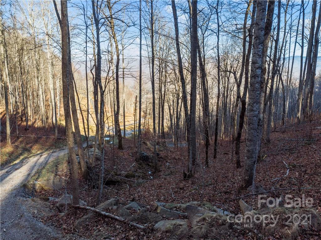 1397 Daydream Ridge Swannanoa NC 28778