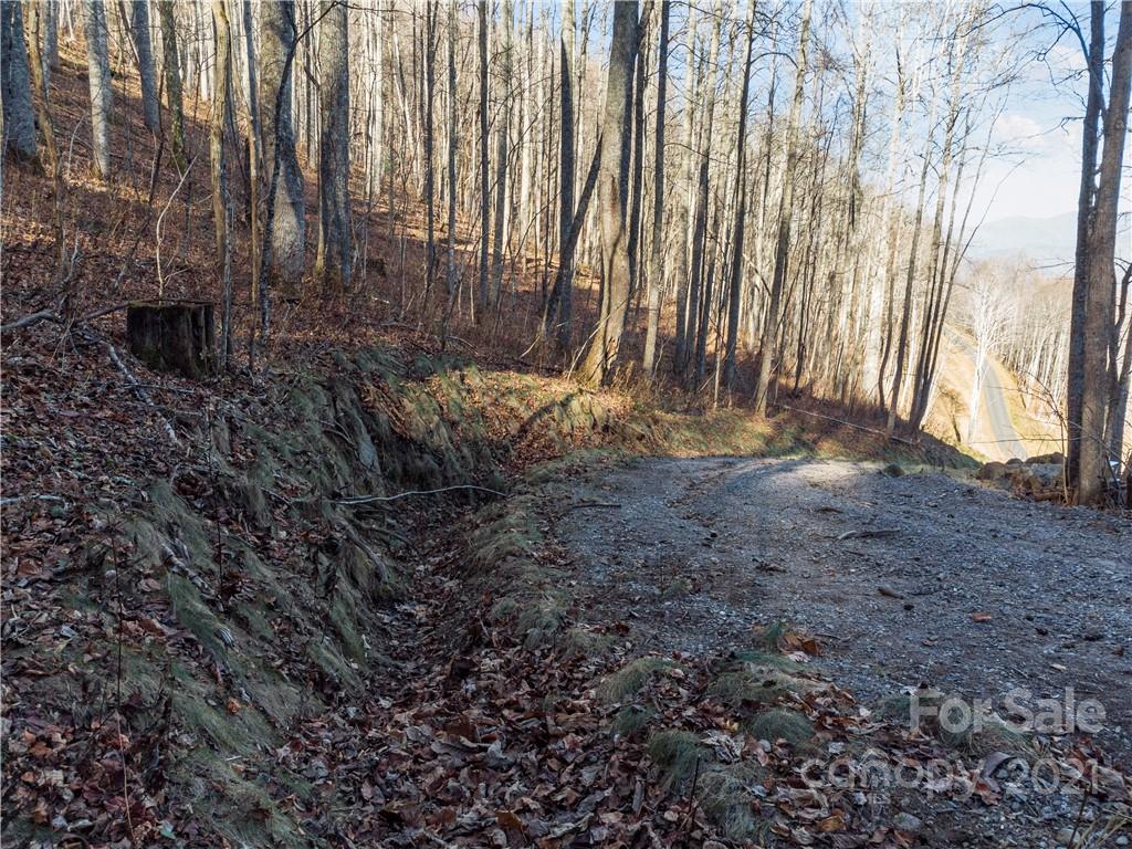 1397 Daydream Ridge Swannanoa NC 28778