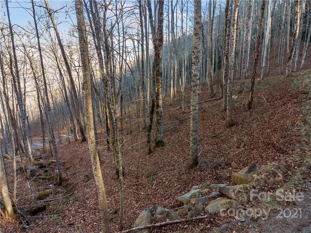 1397 Daydream Ridge Swannanoa NC 28778