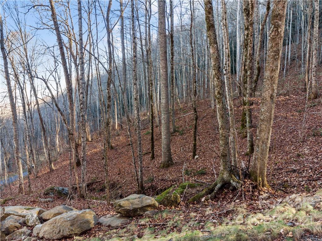 1397 Daydream Ridge Swannanoa NC 28778