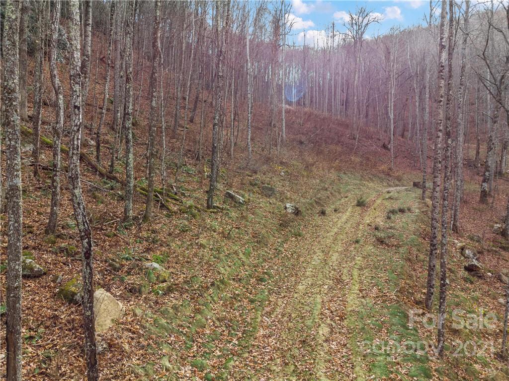 1397 Daydream Ridge Swannanoa NC 28778
