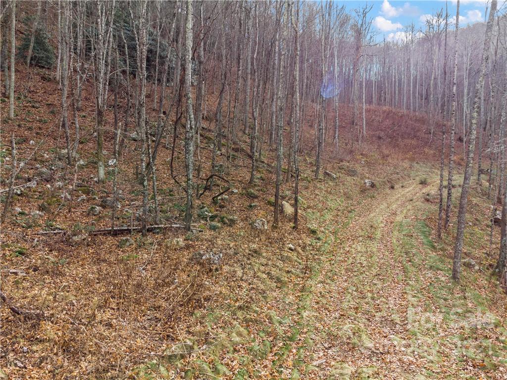 1397 Daydream Ridge Swannanoa NC 28778