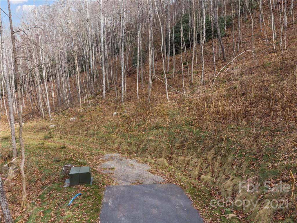 1397 Daydream Ridge Swannanoa NC 28778