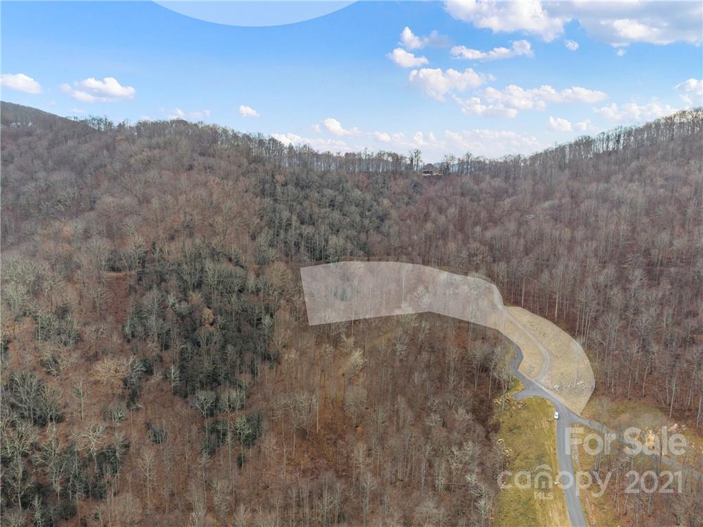 1397 Daydream Ridge Swannanoa NC 28778