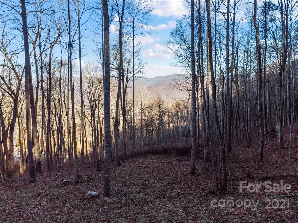 1397 Daydream Ridge Swannanoa NC 28778