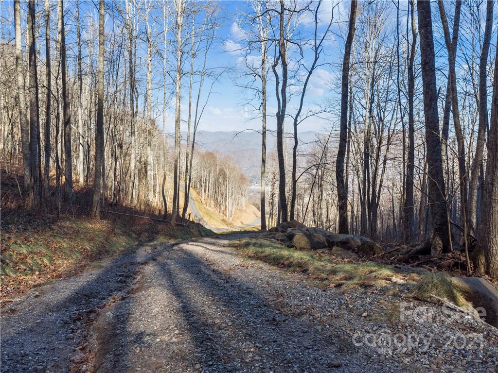 1397 Daydream Ridge Swannanoa NC 28778