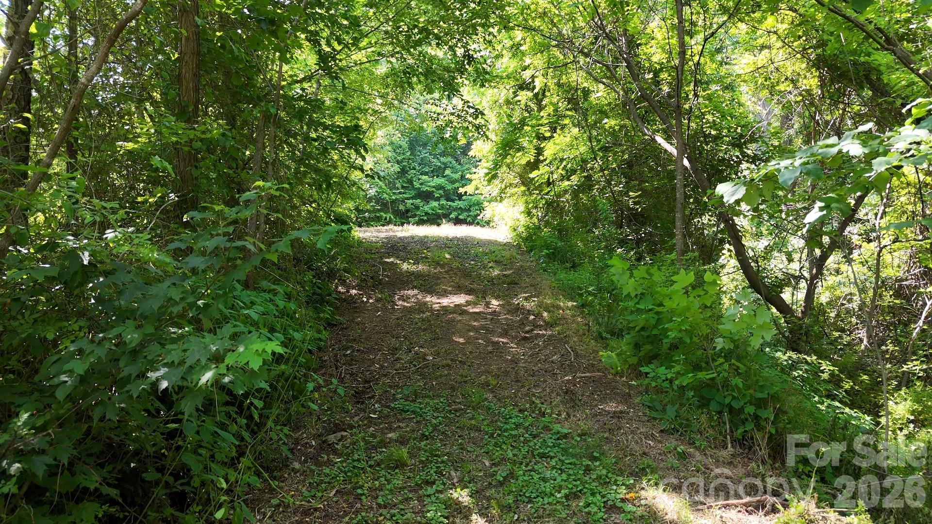 Lot 23 Asa Trail Waynesville NC 28785