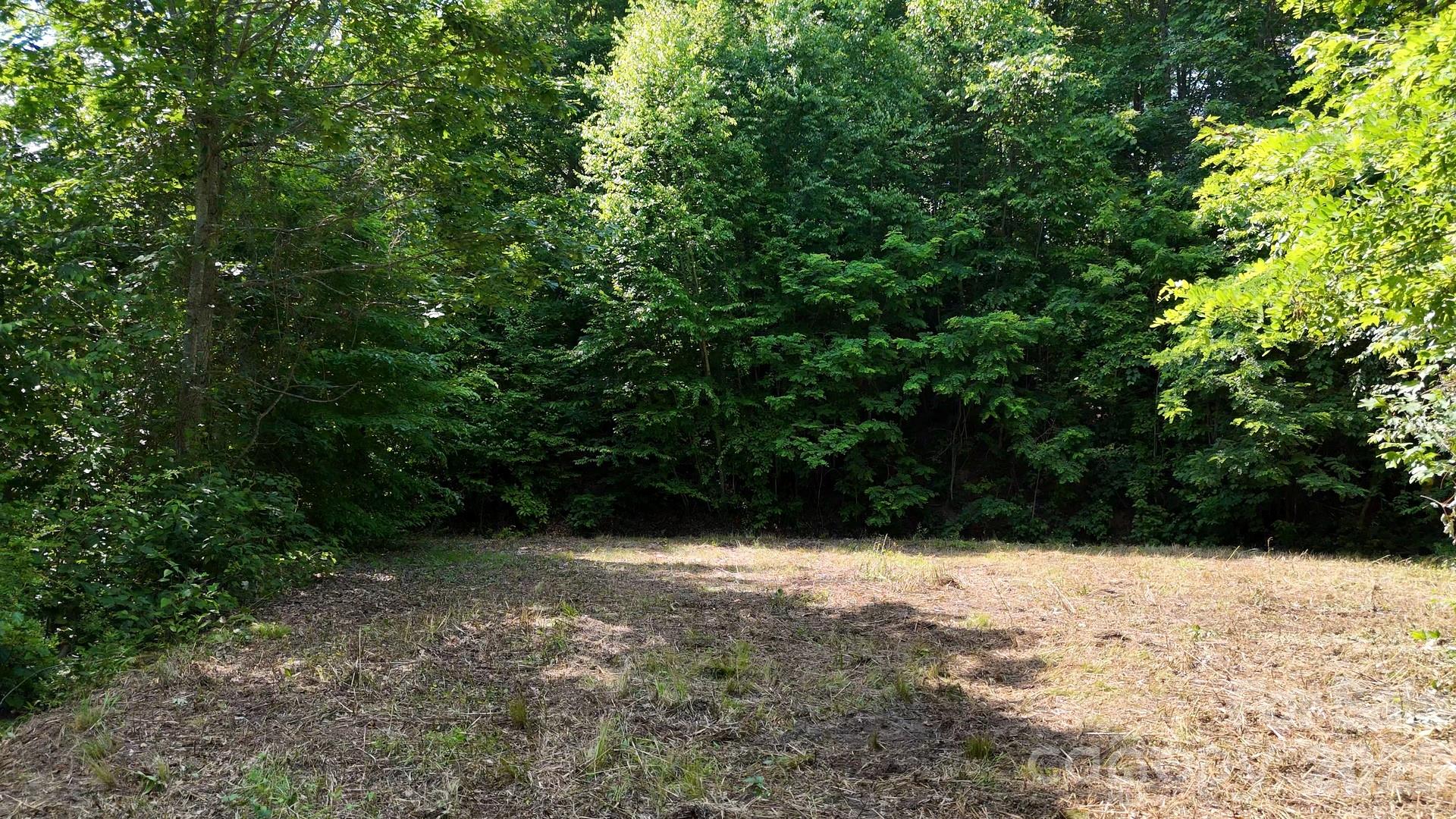 Lot 23 Asa Trail Waynesville NC 28785