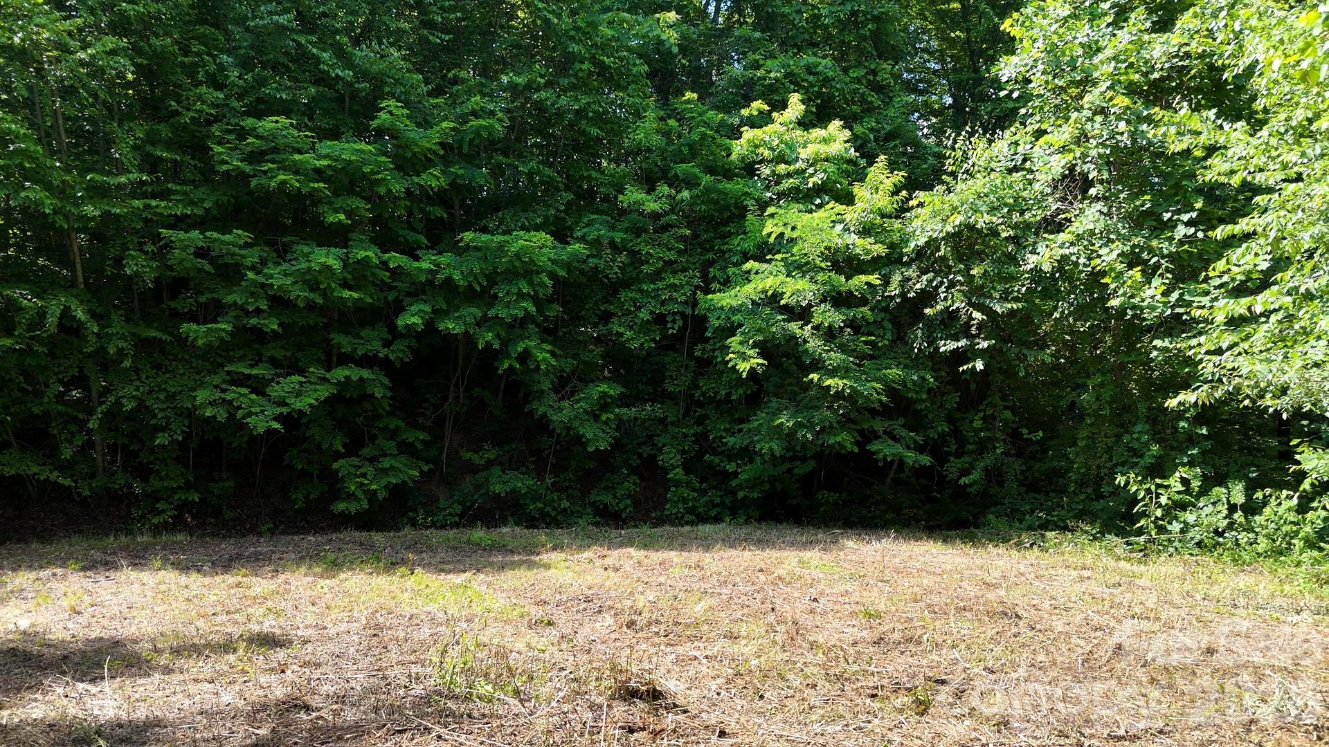 Lot 23 Asa Trail Waynesville NC 28785