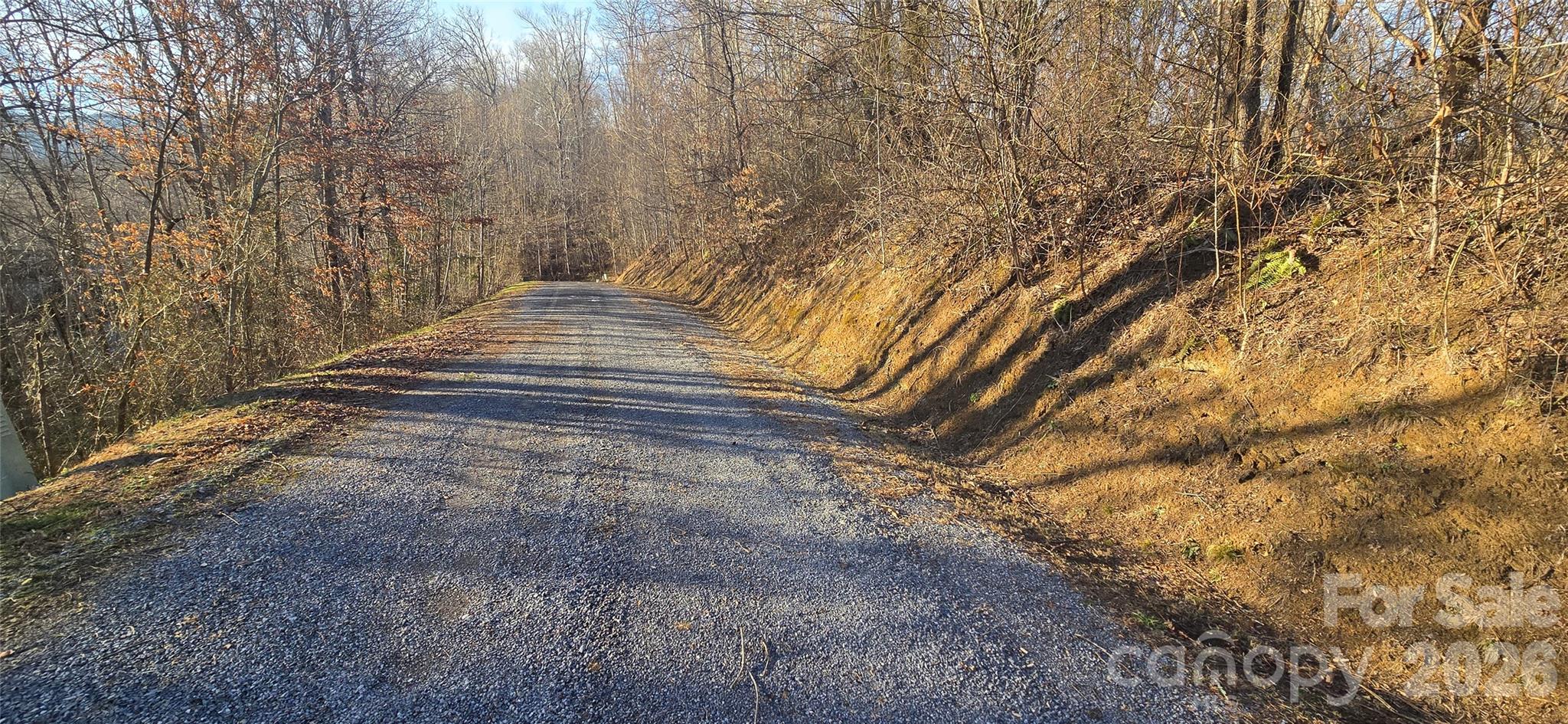 Lot 23 Asa Trail Waynesville NC 28785