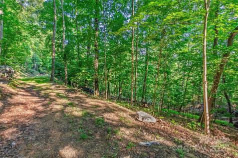Lot W13 Curtain Bluff Hendersonville NC 28791