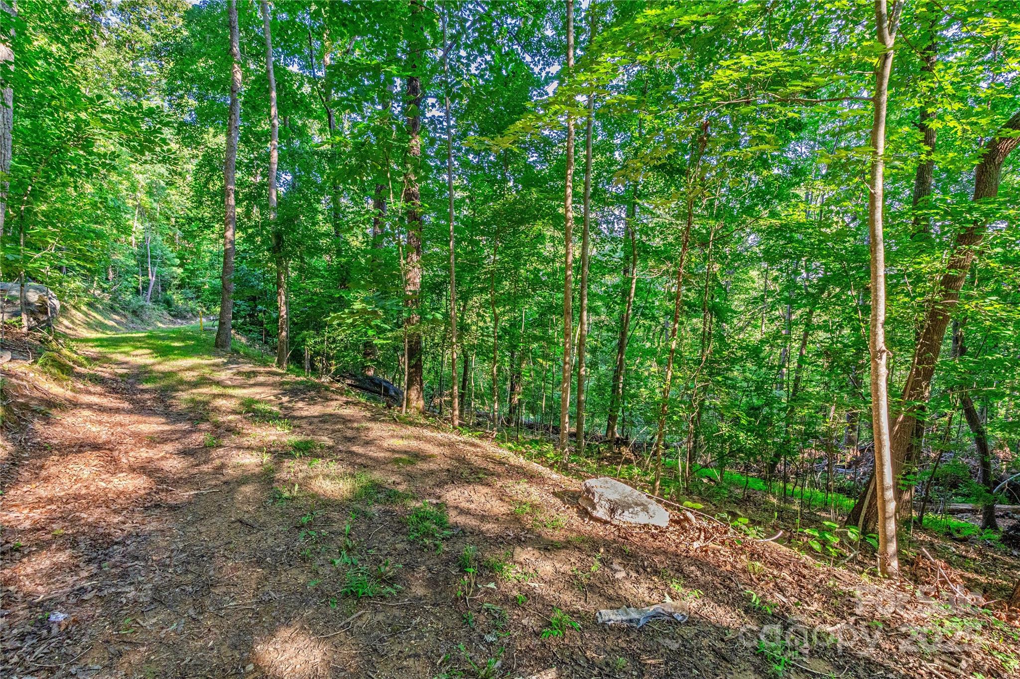 Lot W13 Curtain Bluff Hendersonville NC 28791