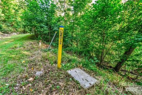 Lot W13 Curtain Bluff Hendersonville NC 28791