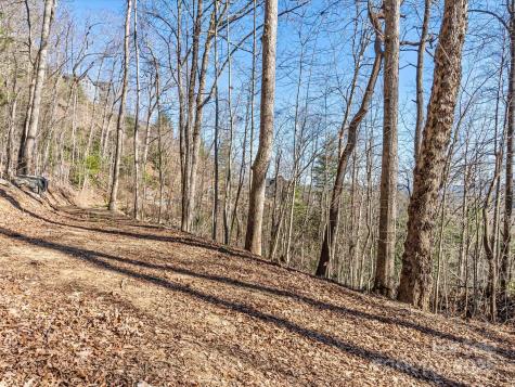 Lot W13 Curtain Bluff Hendersonville NC 28791
