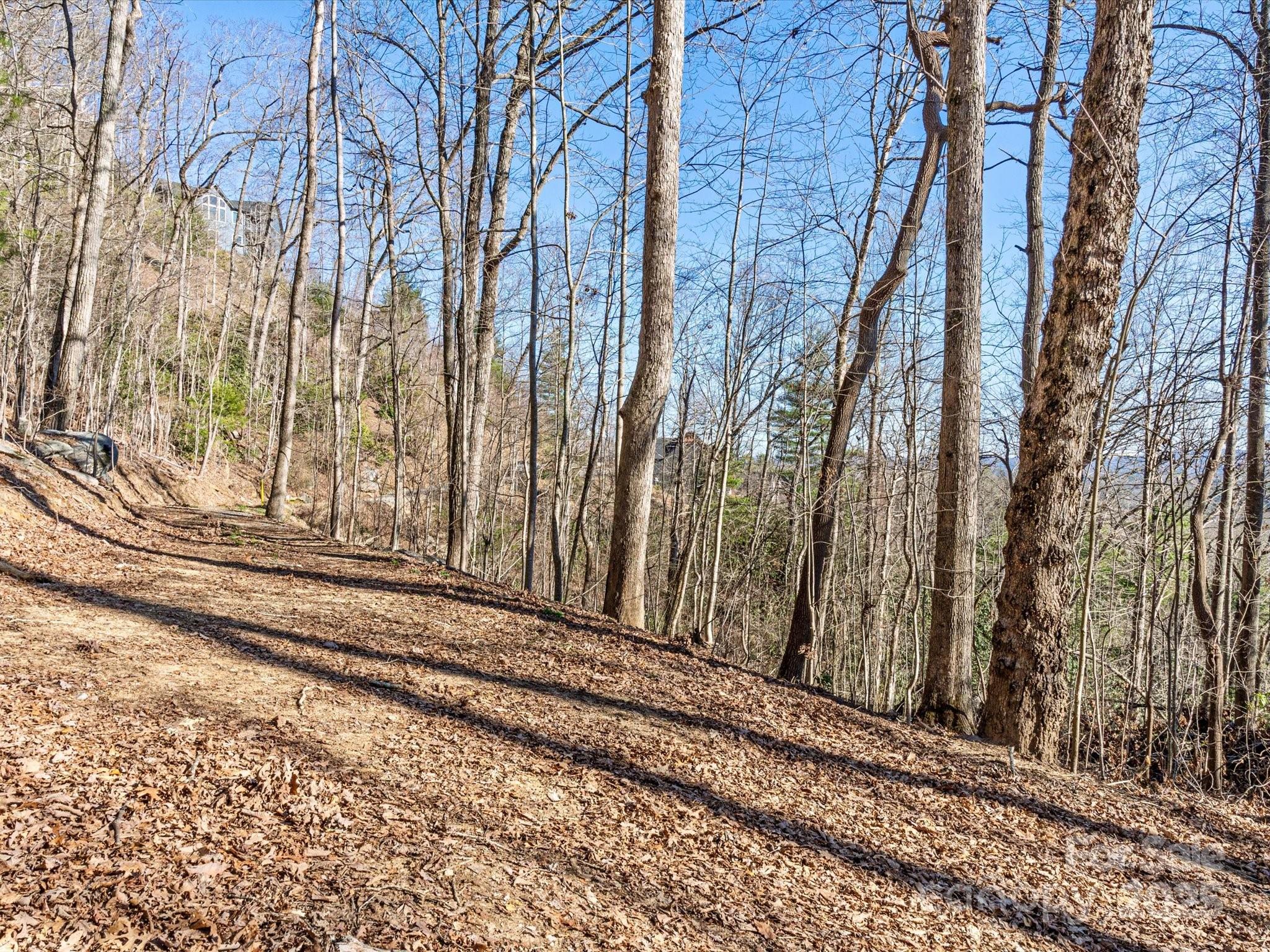 Lot W13 Curtain Bluff Hendersonville NC 28791