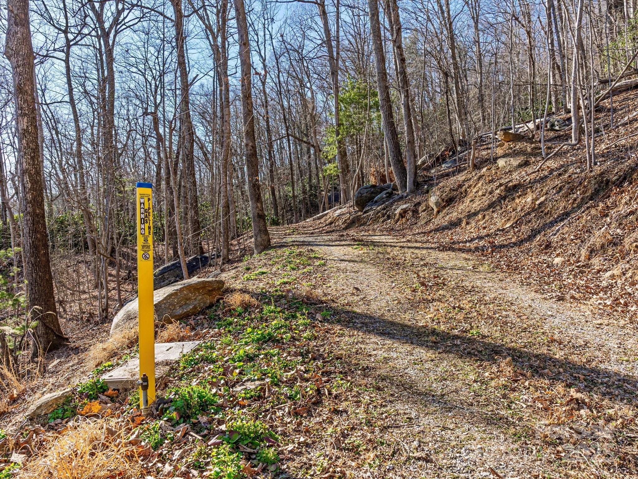 Lot W13 Curtain Bluff Hendersonville NC 28791
