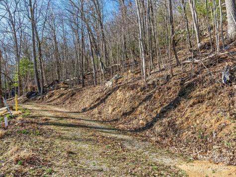 Lot W13 Curtain Bluff Hendersonville NC 28791