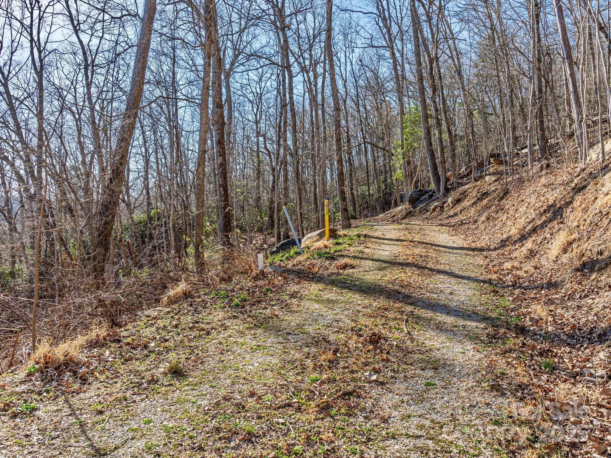 Lot W13 Curtain Bluff Hendersonville NC 28791