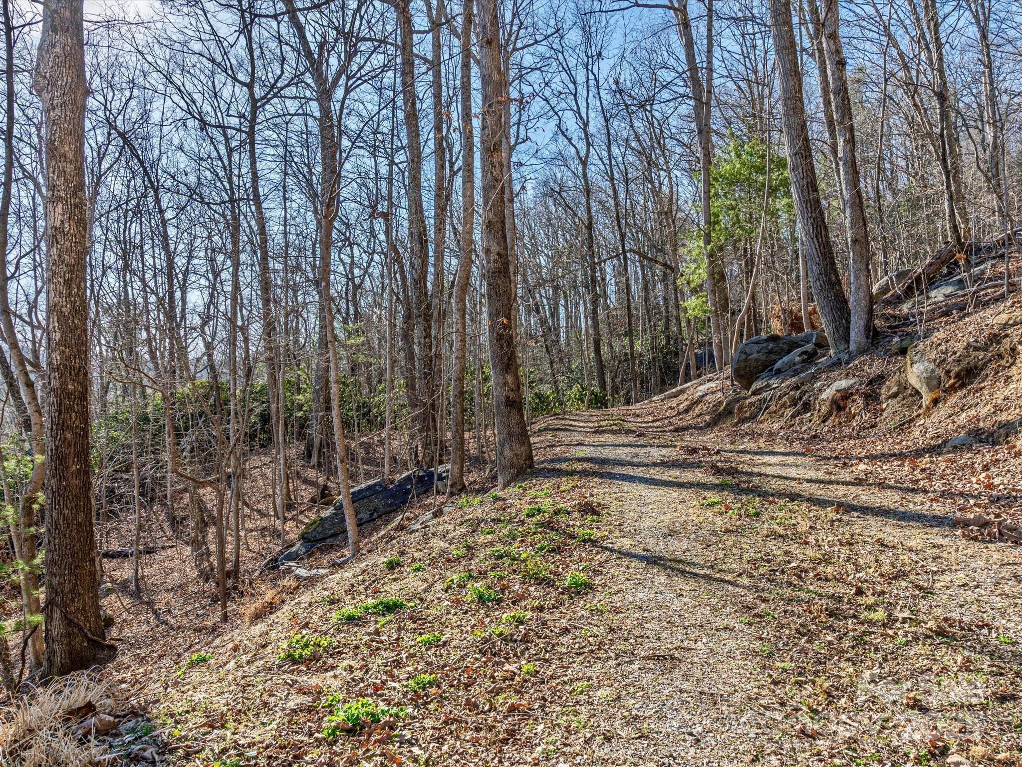 Lot W13 Curtain Bluff Hendersonville NC 28791