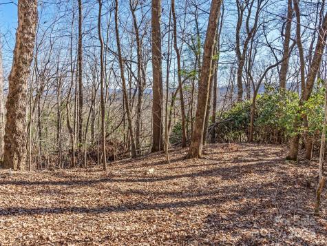 Lot W13 Curtain Bluff Hendersonville NC 28791