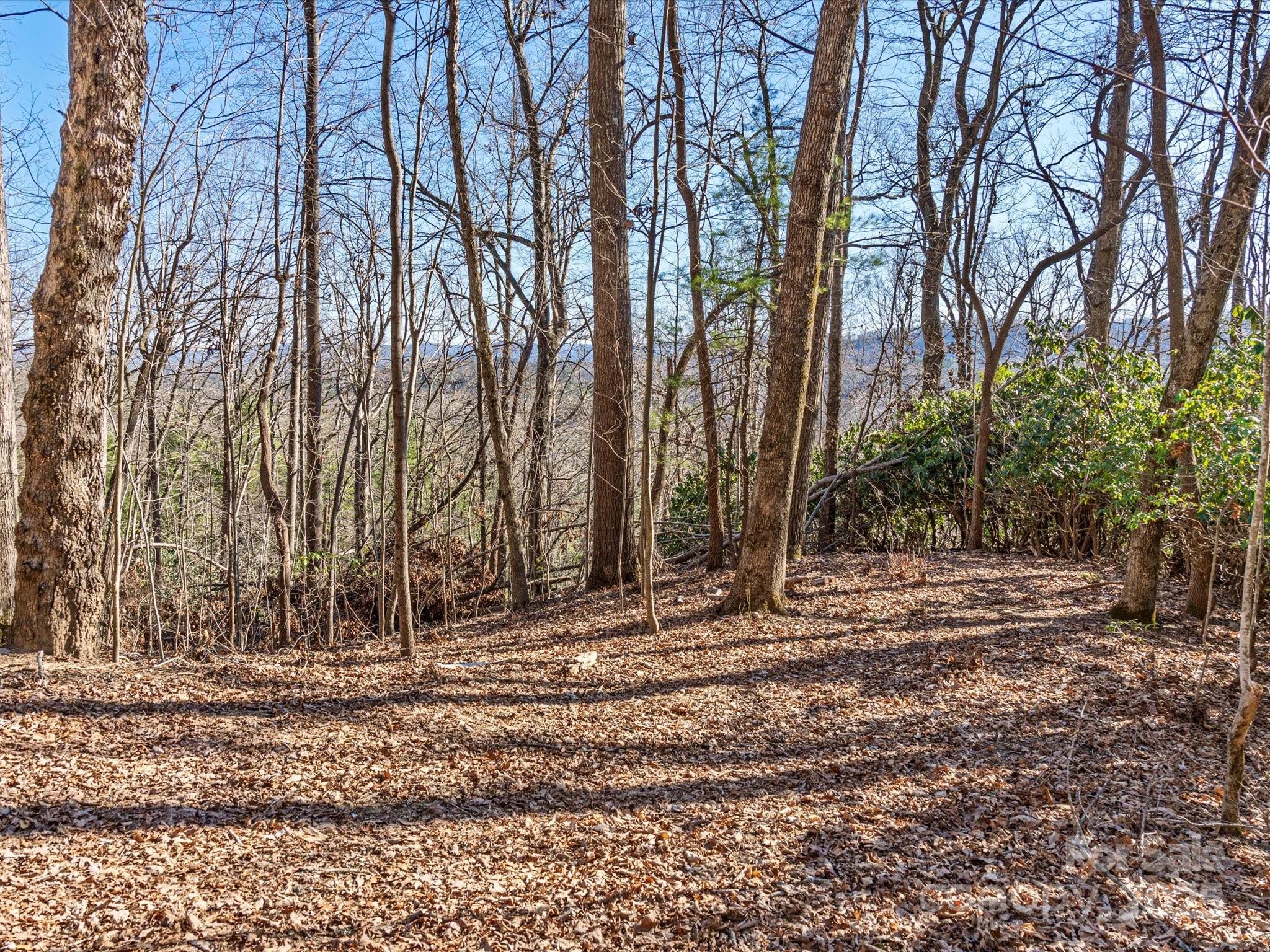 Lot W13 Curtain Bluff Hendersonville NC 28791