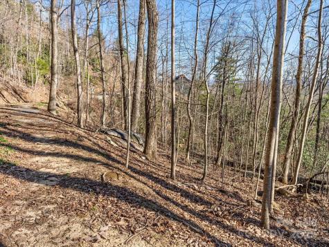 Lot W13 Curtain Bluff Hendersonville NC 28791