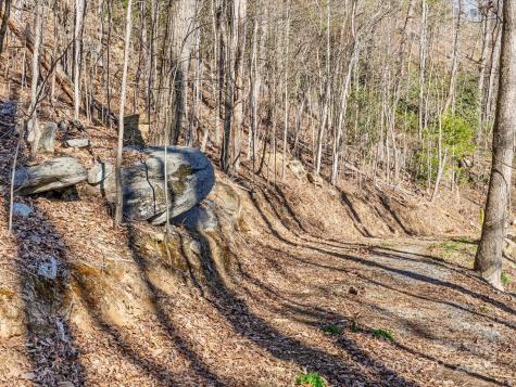 Lot W13 Curtain Bluff Hendersonville NC 28791