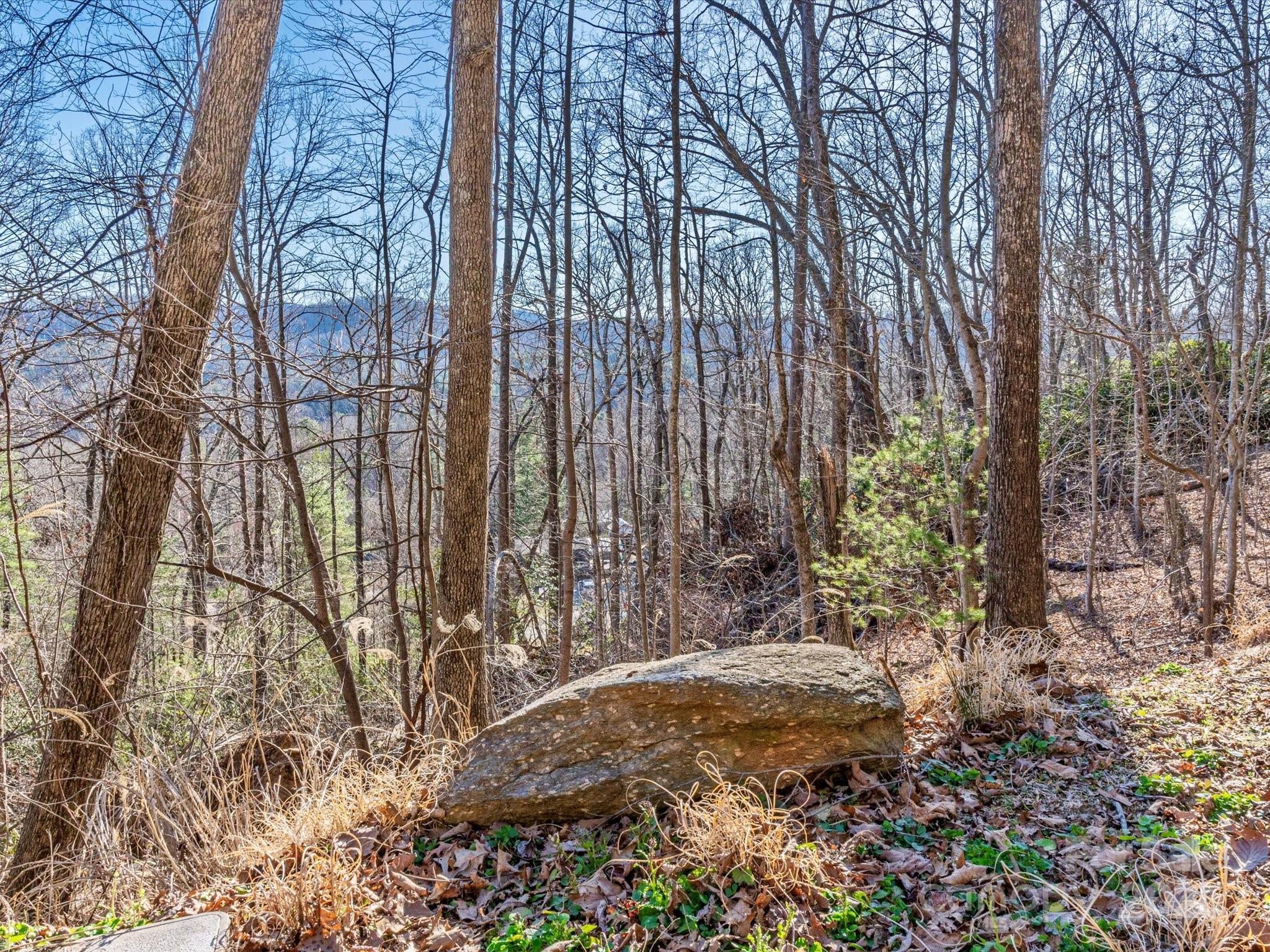 Lot W13 Curtain Bluff Hendersonville NC 28791