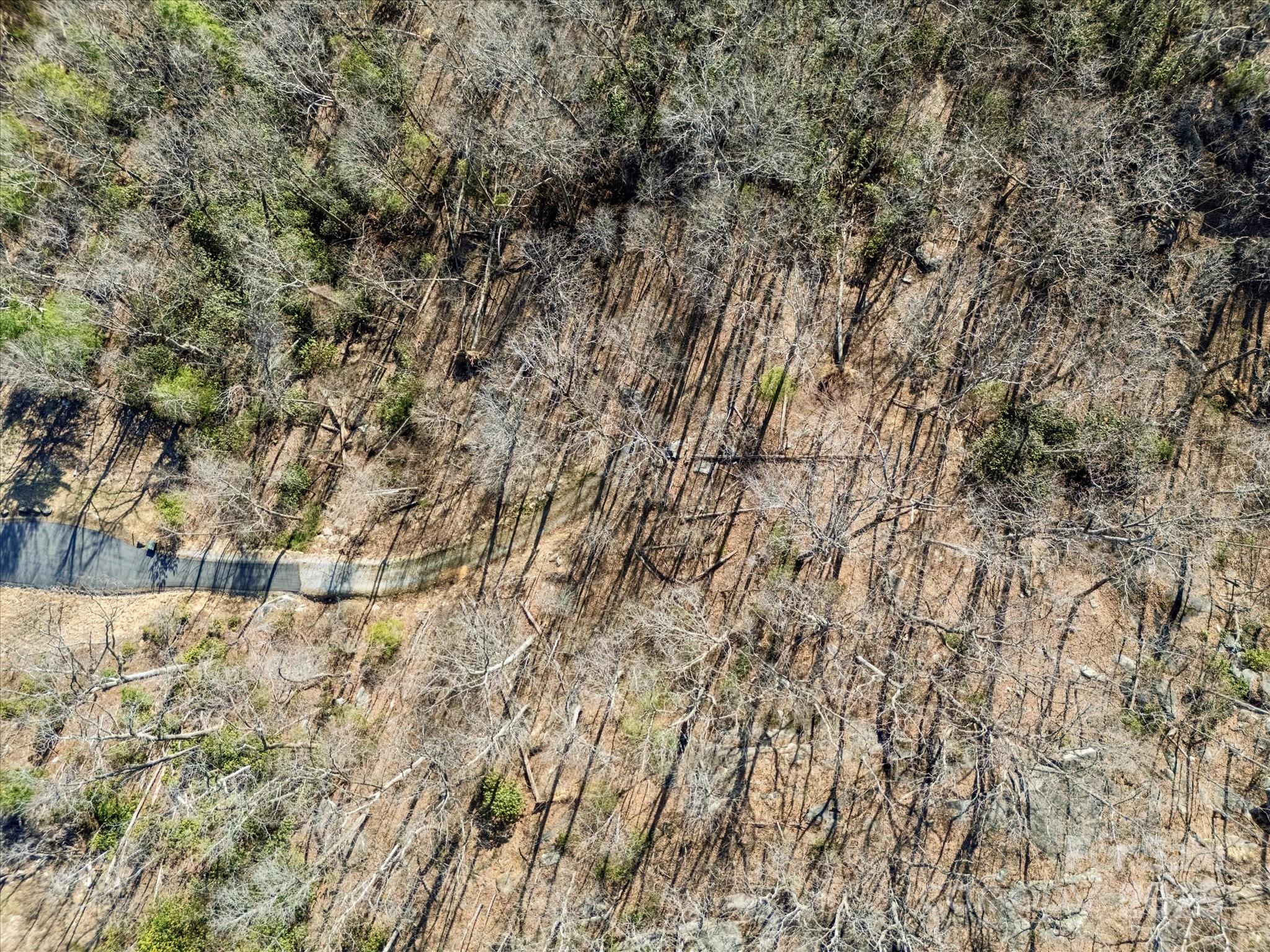 Lot W13 Curtain Bluff Hendersonville NC 28791