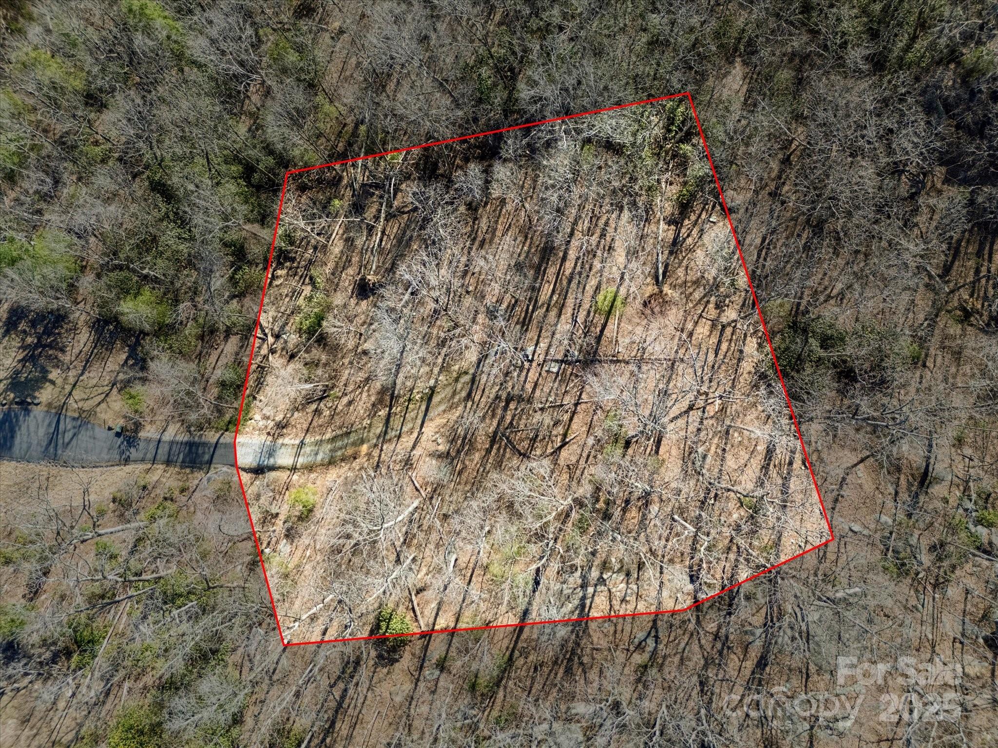 Lot W13 Curtain Bluff Hendersonville NC 28791