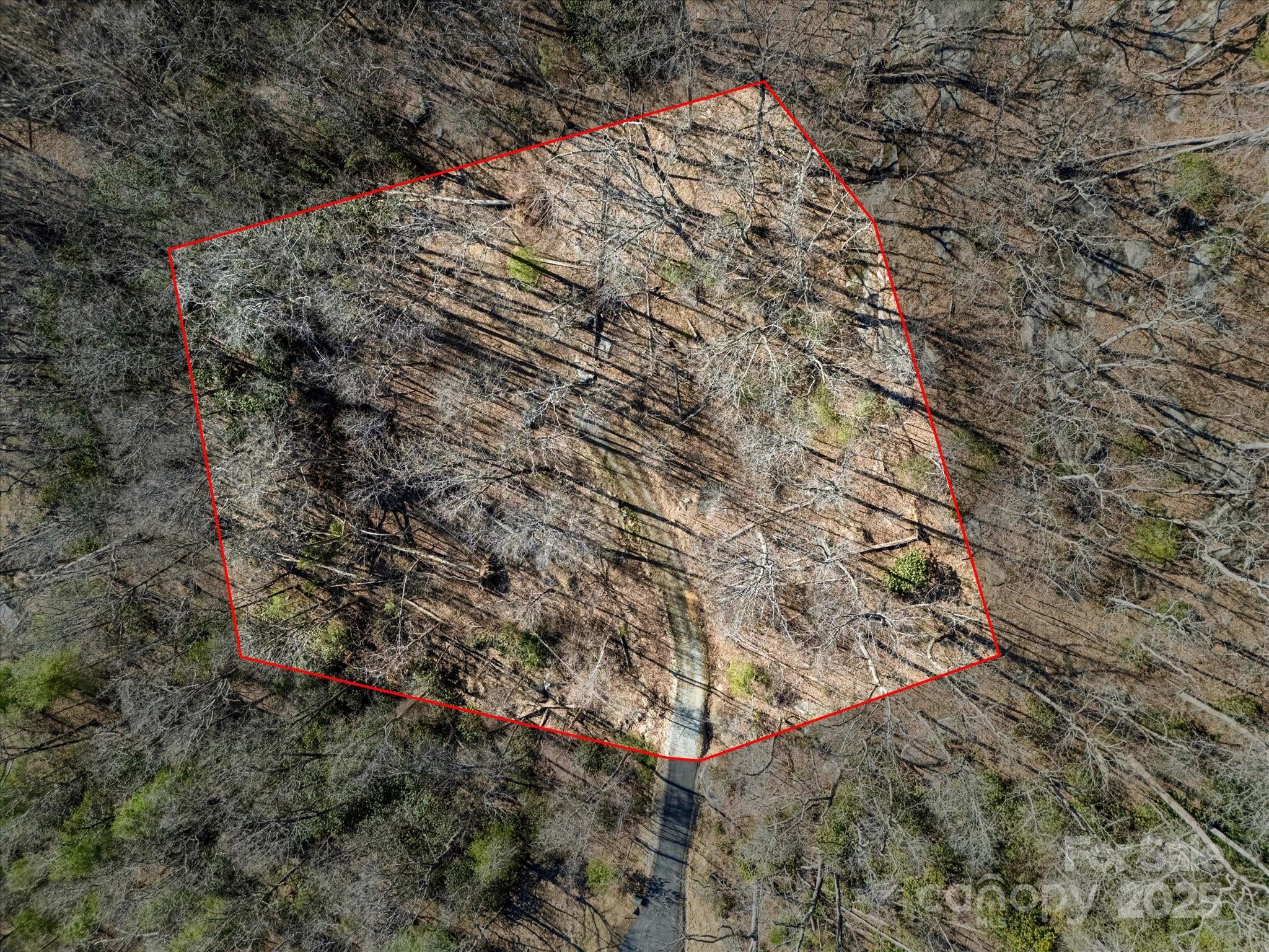 Lot W13 Curtain Bluff Hendersonville NC 28791