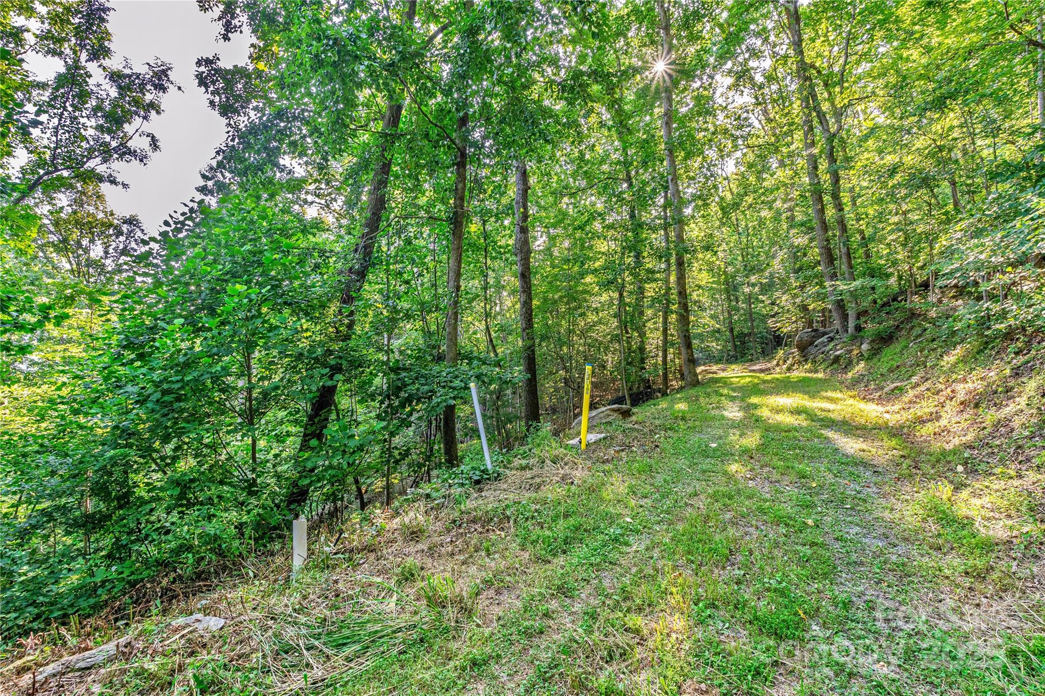 Lot W13 Curtain Bluff Hendersonville NC 28791