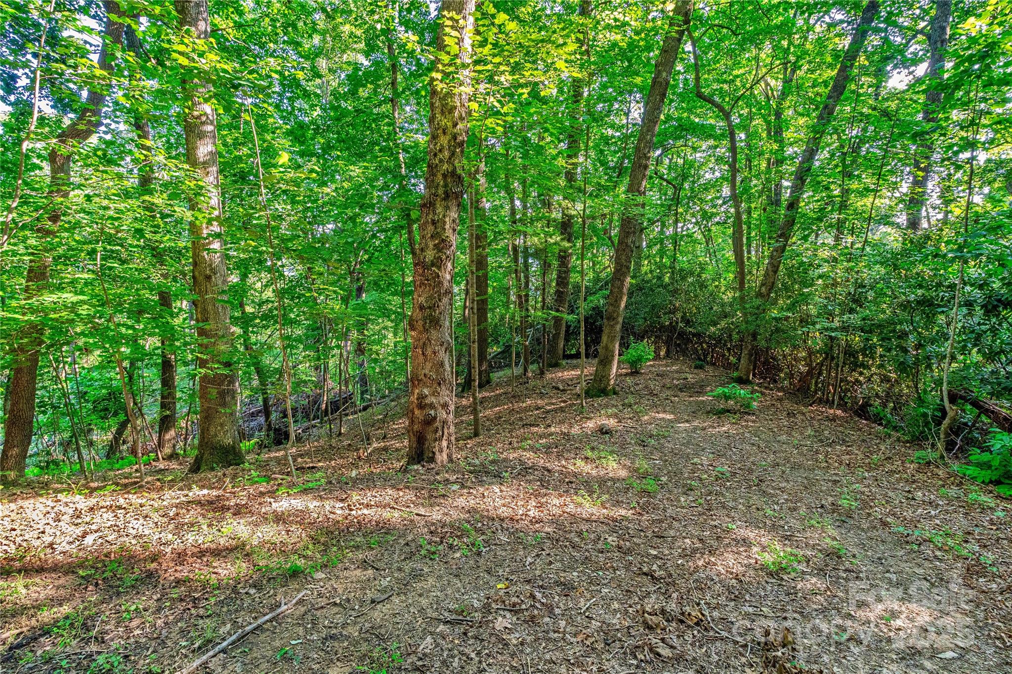 Lot W13 Curtain Bluff Hendersonville NC 28791