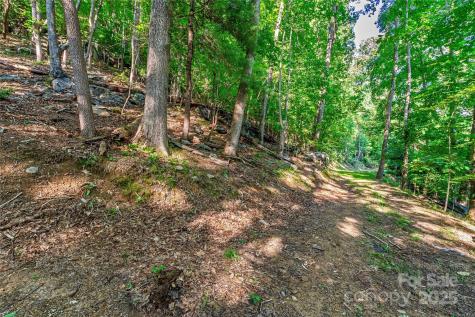 Lot W13 Curtain Bluff Hendersonville NC 28791