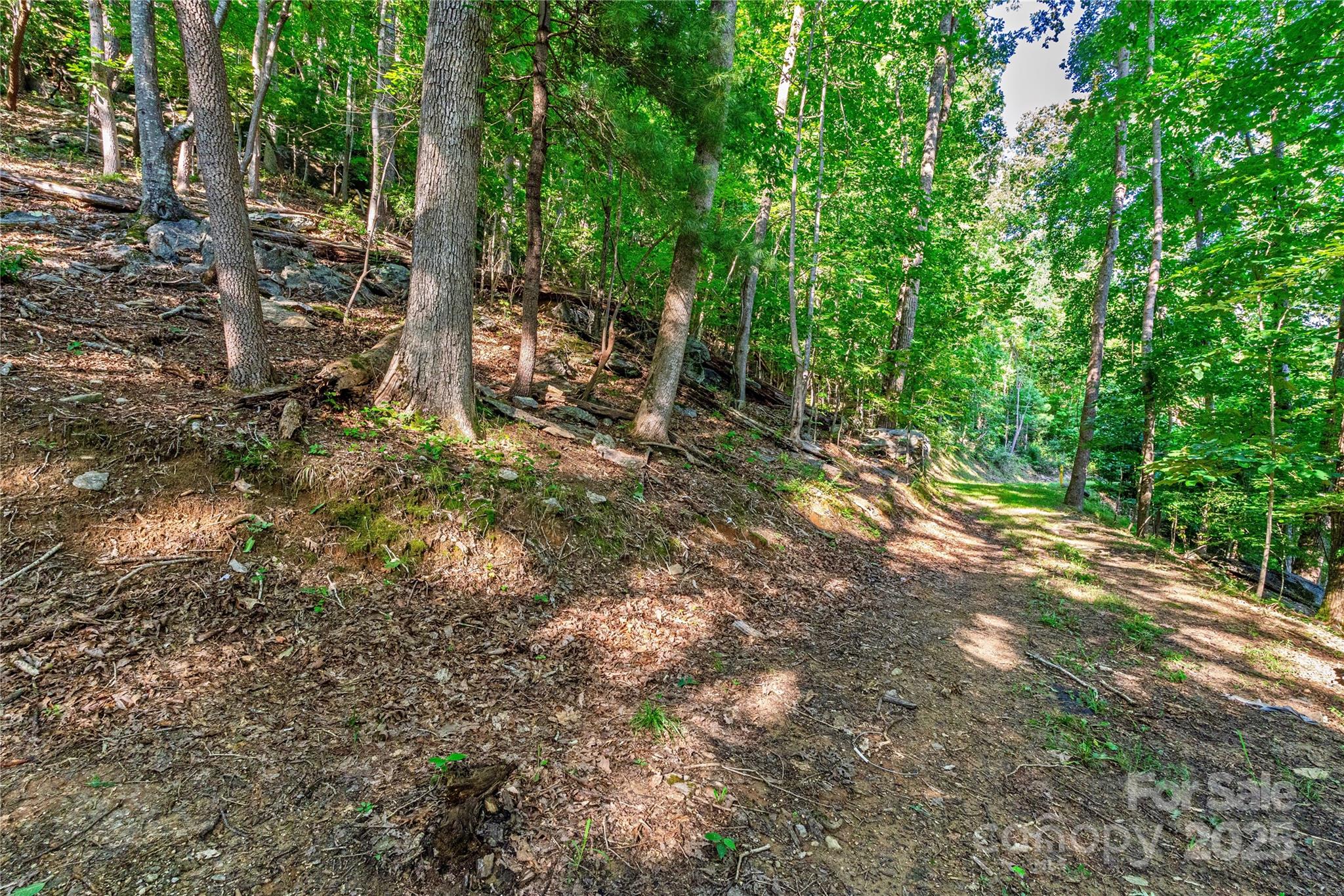 Lot W13 Curtain Bluff Hendersonville NC 28791