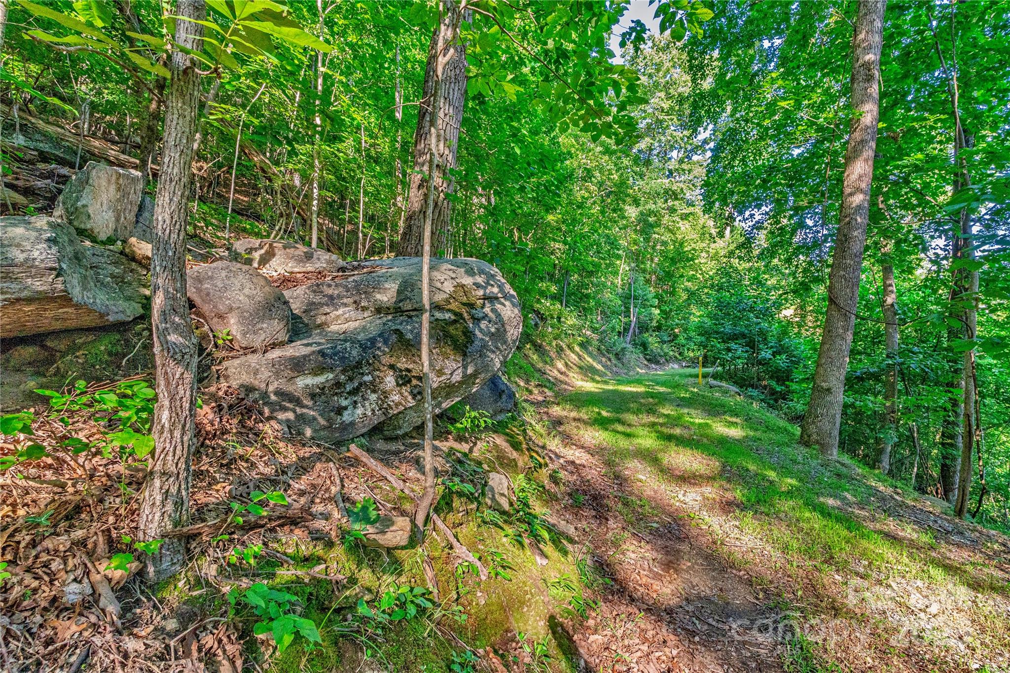 Lot W13 Curtain Bluff Hendersonville NC 28791